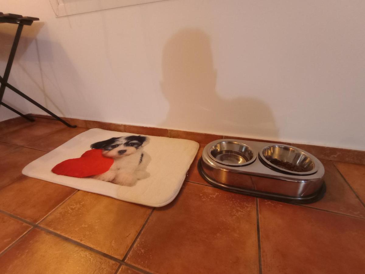 Casa De Campo Los Manueles Ideal Perros Pet Friendly Gojar Eksteriør bilde