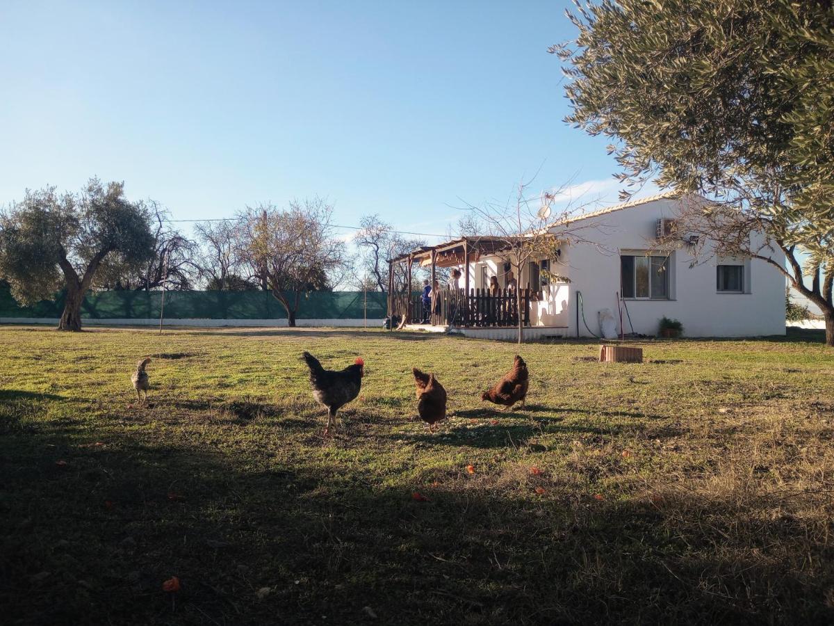 Casa De Campo Los Manueles Ideal Perros Pet Friendly Gojar Eksteriør bilde