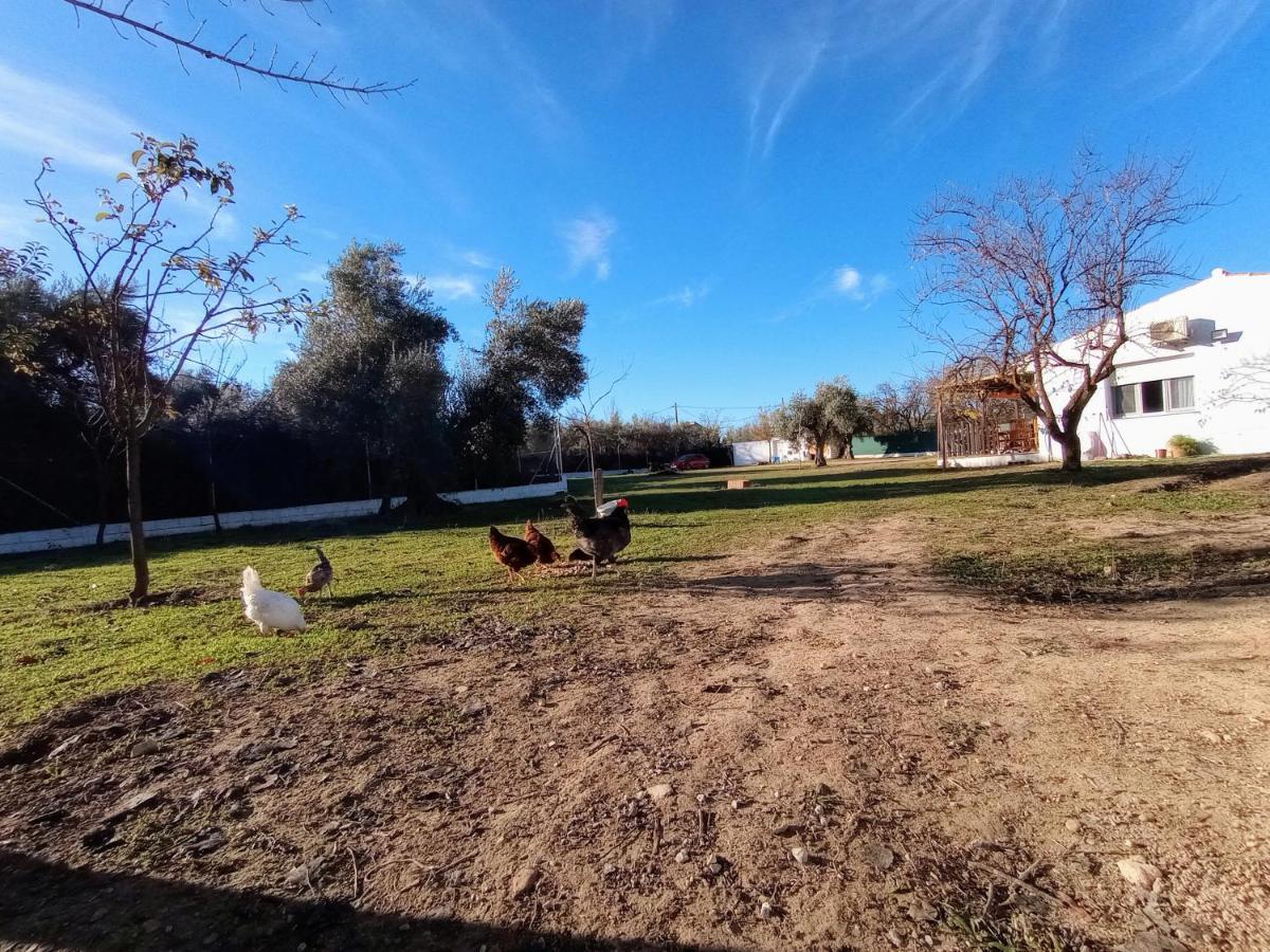 Casa De Campo Los Manueles Ideal Perros Pet Friendly Gojar Eksteriør bilde