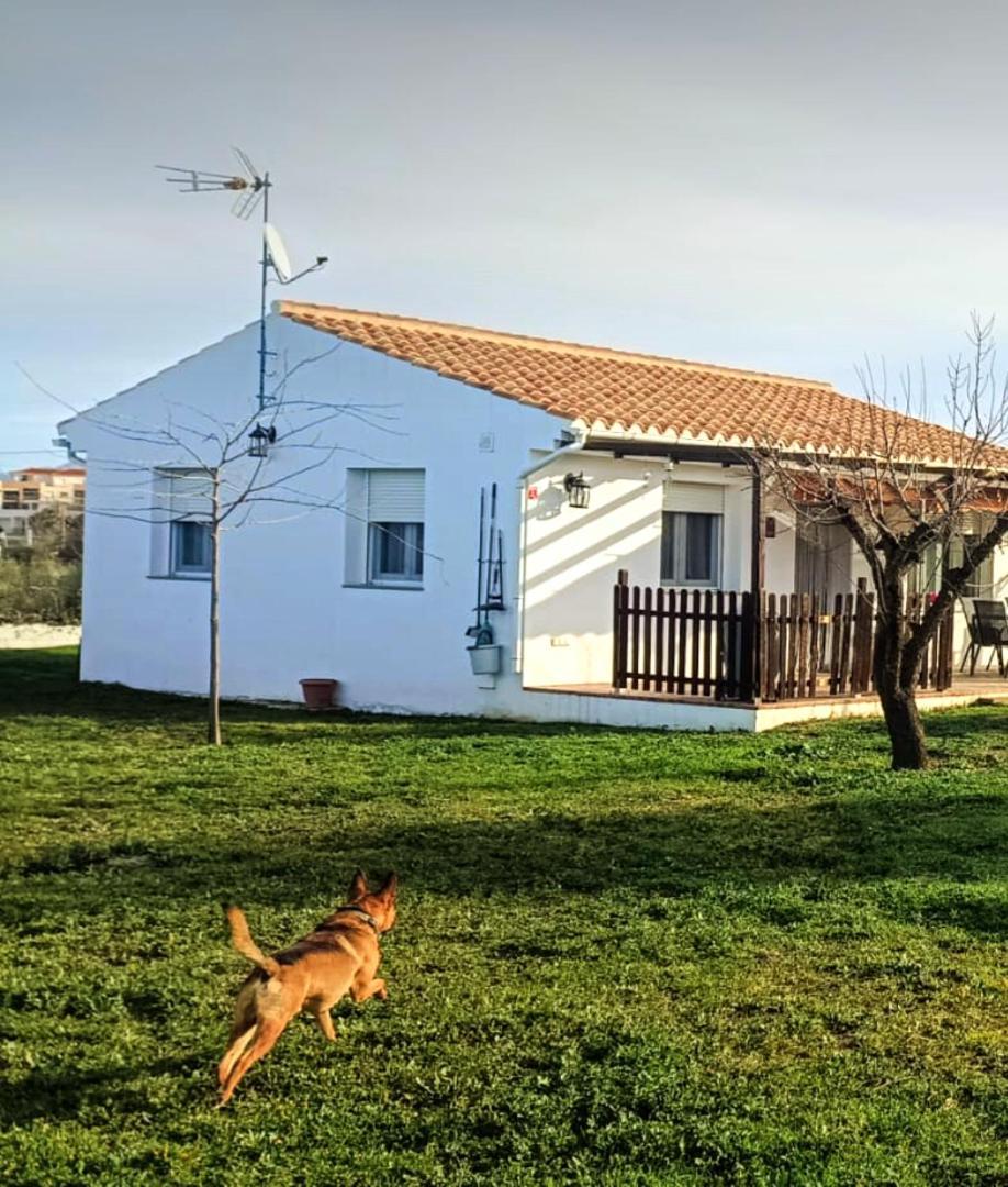Casa De Campo Los Manueles Ideal Perros Pet Friendly Gojar Eksteriør bilde