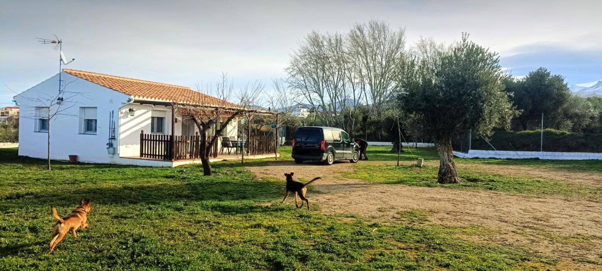 Casa De Campo Los Manueles Ideal Perros Pet Friendly Gojar Eksteriør bilde